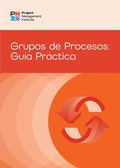 Cover: Process Groups: A Practice Guide (SPANISH) - Project Management Institute