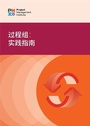 Cover: Process Groups: A Practice Guide (SIMPLIFIED CHINESE) - Project Management Institute