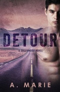 Cover: Detour - Booktickets By AM