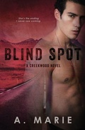 Cover: Blind Spot - Booktickets By AM