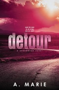 Cover: Detour Discreet Cover - Booktickets By AM