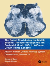 Abbildung von: The Spinal Cord during the Middle Second Trimester through the 4th Postnatal Month 130- to 440-mm Crown-Rump Lengths - CRC Press