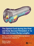 Bild: The Spinal Cord during the First and Early Second Trimesters 4- to 108-mm Crown-Rump Lengths - CRC Press