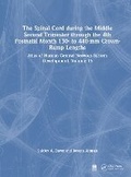 Bild: The Spinal Cord during the Middle Second Trimester through the 4th Postnatal Month 130- to 440-mm Crown-Rump Lengths - CRC Press