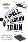 Cover: A Small, Stubborn Town - Mango Media