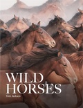 Cover: Wild Horses - Amber Books