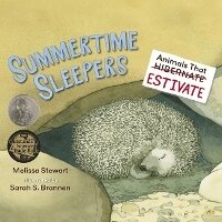 Enlarge image Cover: Summertime Sleepers - DREAMSCAPE MEDIA