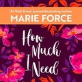 Cover: How Much I Need - DREAMSCAPE MEDIA