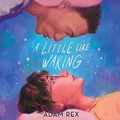 Cover: A Little Like Waking - DREAMSCAPE MEDIA