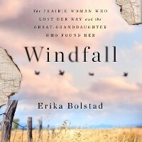 Enlarge image Cover: Windfall - DREAMSCAPE MEDIA