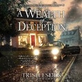 Cover: A Wealth of Deception - DREAMSCAPE MEDIA