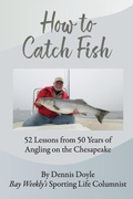 Cover: How to Catch Fish - New Bay Books LLC