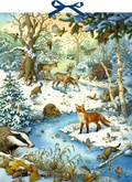 Cover: Zettel-Adventskalender - Die Tiere im Winterwald und ihr geheimes Leben - Coppenrath