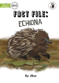 Enlarge image Cover: Fact File - Library for All