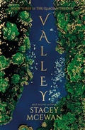 Cover: Valley - Angry Robot