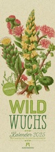 Cover: Wildwuchs - Botanische Illustrationen - Graspapier-Kalender 2025 - Ackermann Kunstverlag