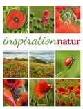 Cover: Inspiration Natur Kalender 2025 - Ackermann Kunstverlag