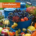 Cover: Landleben Kalender 2025 - 30x30 - Ackermann Kunstverlag