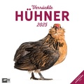 Cover: Verr&uuml;ckte H&uuml;hner Kalender 2025 - 30x30 - Ackermann Kunstverlag