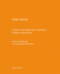Cover: honey I rearranged the collection - fireflies everywhere - PalmArtPress