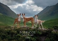 Abbildung von: Podencos In Scotland - BookVAULT Publishing
