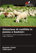 Cover: Situazione di conflitto in Jammu e Kashmir - Edizioni Sapienza