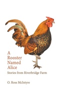Cover: A Rooster Named Alice - Makardua Press