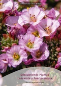 Cover: Descubriendo Plantas Lanzarote y Fuerteventura - NATURALANZA