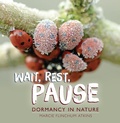 Cover: Wait, Rest, Pause - Lerner Publishing Group