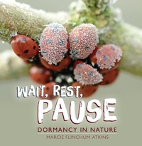 Enlarge image Cover: Wait, Rest, Pause - Lerner Publishing Group