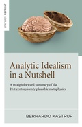 Cover: Analytic Idealism in a Nutshell - Iff Books