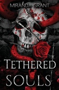 Cover: Tethered Souls - Writing Evolution