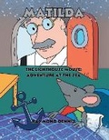 Cover: Matilda The Lighthouse Mouse - Authors Choice LLC
