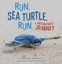 Enlarge image Cover: Run, Sea Turtle, Run - Lerner Publishing Group