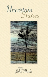 Enlarge image Cover: Uncertain Shores - Busybird Publishing