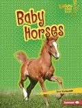 Cover: Baby Horses - Lerner Publishing Group