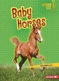 Cover: Baby Horses - Lerner Publishing Group