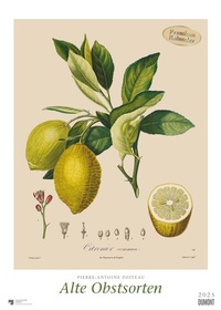 Abbildung von: DUMONT - Poiteau: Alte Obstsorten 2025 Wandkalender, 50x70cm, Posterkalender mit Abbildungen von alten Obstsorten, aus der Rara-Sammlung der Staatsbibliothek zu Berlin - DuMont Buchverlag