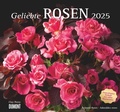 Cover: DUMONT - Geliebte Rosen 2025 Wandkalender, 30x30cm, Kalender mit traumhaften Rosenstr&auml;u&szlig;en und mit allen wichtigen Feiertagen - DuMont Buchverlag