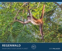 Abbildung von: PALAZZI - Regenwald 2025 Wandkalender, 60x50cm, Posterkalender mit majestätischen Aufnahmen aus der grünen Wildnis, hochwertige Fotografie, eine Reise in die Tropen, internationales Kalendarium - Palazzi