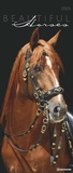 Bild: N NEUMANNVERLAGE - Beautiful Horses 2025 Wandkalender, 30x70cm, Kalender mit zw&ouml;lf grandiosen Pferdeportraits, au&szlig;ergew&ouml;hnliche Aufnahmen, Spiralbindung und internationales Kalendarium - Neumann