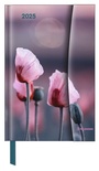 Bild: N NEUMANNVERLAGE - Flowers 2025 Diary, 10x15cm, Taschenkalender mit Magnetverschluss und Lesebändchen, Tasche für Visitenkarte, Jahres- und Monatsübersicht und internationales Kalendarium - Neumann