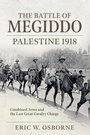 Cover: Battle of Megiddo - Helion & Company
