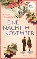 Cover: Eine Nacht im November - dotbooks