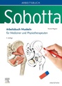 Bild: Sobotta Arbeitsbuch Muskeln - Urban & Fischer