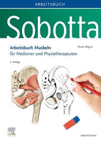 Abbildung von: Sobotta Arbeitsbuch Muskeln - Urban & Fischer