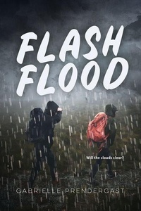 Enlarge image Cover: Flash Flood - Orca Book Publishers,Canada