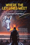 Cover: Where The Ley Lines Meet - BLACK ROSE WRITING