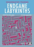 Cover: Endgame Labyrinths - Quality Chess UK LLP