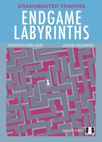 Enlarge image Cover: Endgame Labyrinths - Quality Chess UK LLP